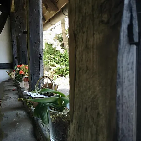 Zur Post Dabringhausen - Quiet Business Near Cologne And Dusseldorf Trade Fairs Hotel