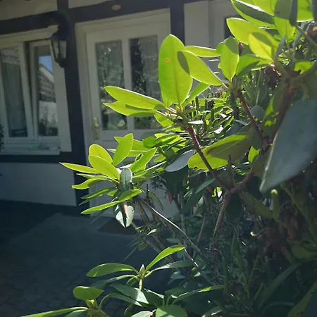 Hotel Zur Post Dabringhausen - Quiet Business Near Cologne And Dusseldorf Trade Fairs 3*