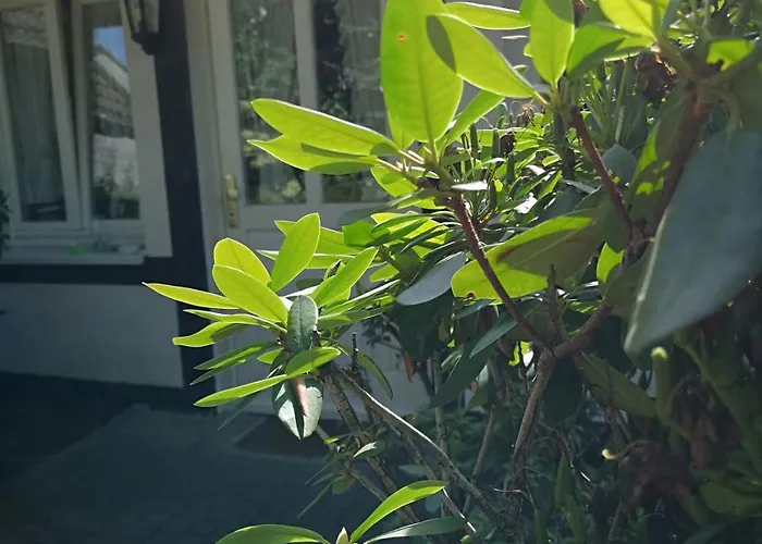 Szálloda Zur Post Dabringhausen - Quiet Business Near Cologne And Dusseldorf Trade Fairs 3*